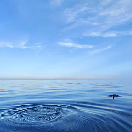 Made In Sicily Santa Tecla Ачиреале