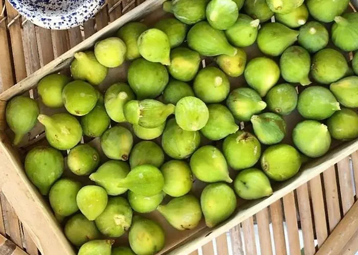 Made In Sicily Santa Tecla 4* Ачиреале