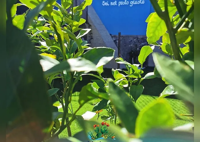 Made In Sicily Santa Tecla Ачиреале
